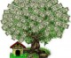 How To Grow Your Own Money Tree