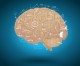 Howard Berg: Maximizing Your Brain Power–How Mindset Can Make Or Break Your Mental Strength