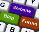 Mike Templeman: Why Onsite Blogging Should Be Focused on Niche Topics