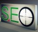 Susan Payton: The Small Business and The Mystery of SEO